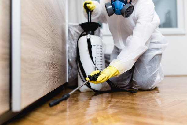 Best Bed Bug Extermination  in La Plata, MD
