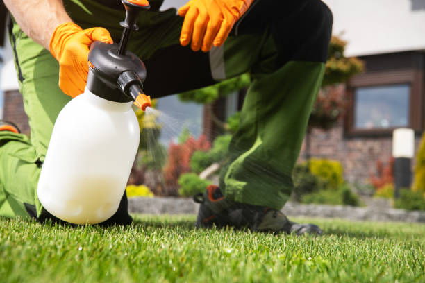 Best Pest Control Treatment  in La Plata, MD