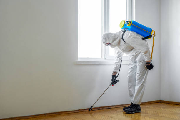 Best Pest Control Near Me in La Plata, MD