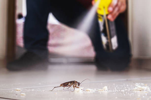 Pest Control for Restaurants in La Plata, MD