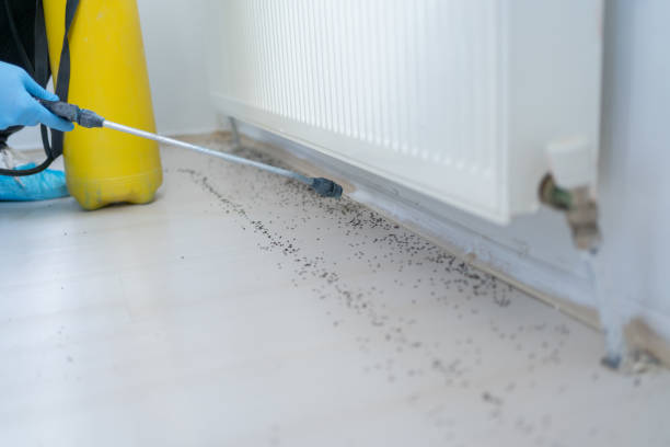 Best Best Pest Control Companies  in La Plata, MD