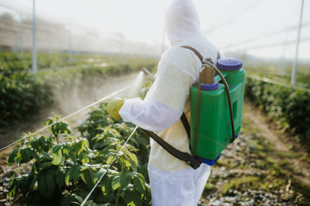 Best Pest Control Near Me  in La Plata, MD